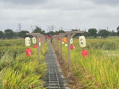 -嘉北郊野公园