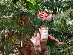 -呀路古热带植物园