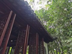 -秋霞圃