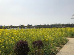 -武汉紫薇都市田园