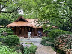 -中国茶叶博物馆(双峰馆区)