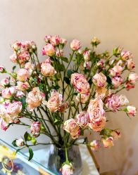 -紫琪尔·匠心连锁·胸部护理养护