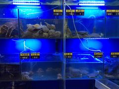 水产区-金龙·打边炉(武进路店)