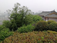 -伯先公园
