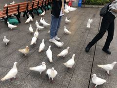 -南昌之星游乐场