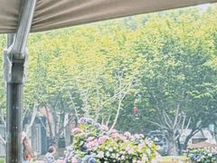 -The Rug Cafe(王府中环店)