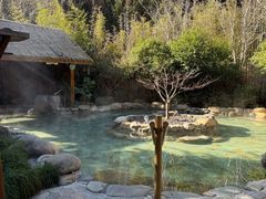 -宁海安岚·南溪阁全日餐厅