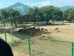 -西安秦岭野生动物园