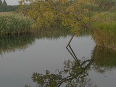 -良渚古城遗址公园