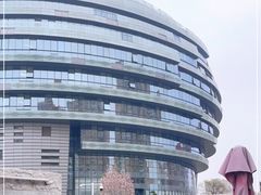 -首都医科大学宣武医院