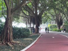 -南宁南湖公园