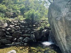 -西安祥峪森林公园