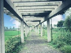 -嘉北郊野公园