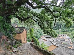 -杨家堂村