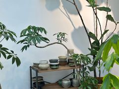 -自由生长植物工作室(深港花卉中心店)