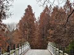 -溱湖国家湿地公园