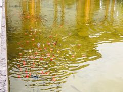 -丽江金茂凯悦臻选酒店-滇香馆