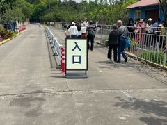 -嘉定紫藤园