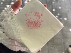 -安吉Hello Kitty乐园