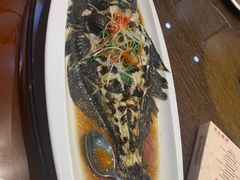 -郑庄脂渣海鲜楼(九水路店)