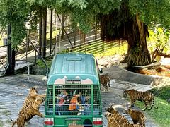 -深圳野生动物园