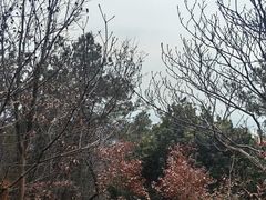 -虞山风景区