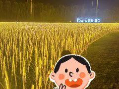 -云幽谷旅游区