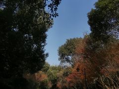 -杭州半山国家森林公园