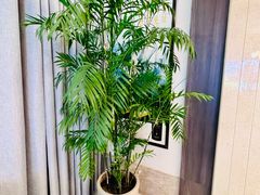 -苏州人家·精致苏帮菜(斜塘店)