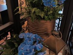 -深圳威尼斯英迪格酒店-邻芙花廊下午茶·NINFA GALLERY·蛋糕·咖啡
