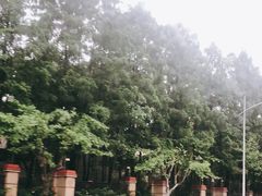 -上海财经大学(国定路校区)