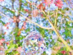 -花开海上生态园