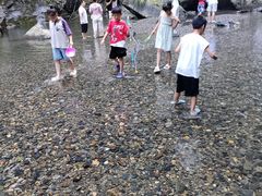 -石台牯牛降景区