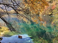 -叠溪松坪沟景区