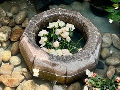-百花洲