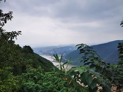 -铁山坪森林公园