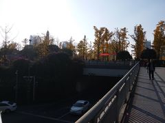 -两江幸福广场