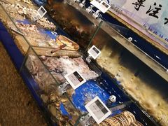 -高佳庄·舟山海鲜(海景旗舰店)