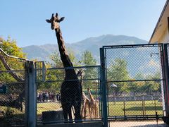 -西安秦岭野生动物园