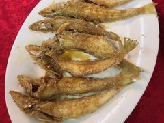 -蛇口康乐快餐鱼仔档(翠苑小区店)