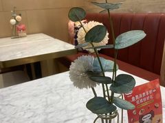 -哈根达斯(合肥万科广场店)