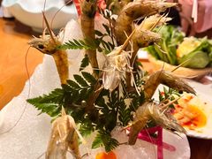 -尚海豆捞(乐虹坊店)