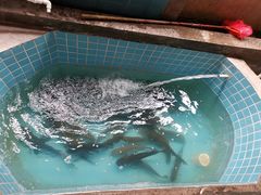 -堤边美食