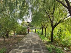 -长兴太湖图影湿地文化园