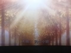 -卢米埃IMAX影城(温州万象城激光店)