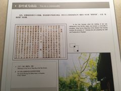 -中国茶叶博物馆(双峰馆区)