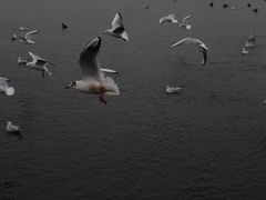 -塘沽站