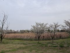 -阳澄湖半岛旅游度假区