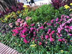 -人民公园(罗湖区)