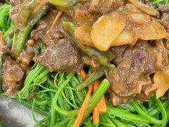 牛肉炒龍須菜-玲玲美食宁辉店(葵蓬店)